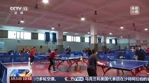 世界杯官网登录 王楚钦趴乒乓球台上打球